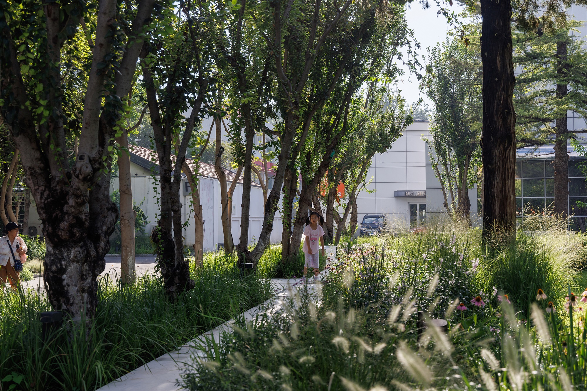 北京市三里屯西五街5号院花园丨中国北京丨OneScape一域景观事务所-111