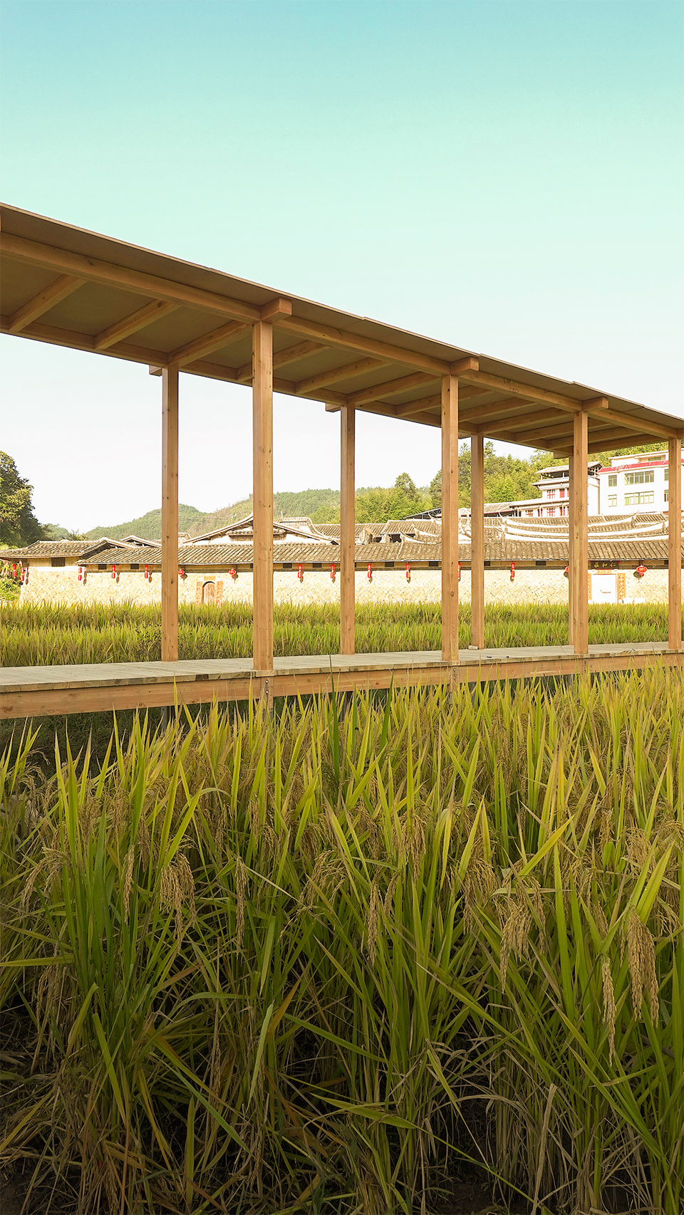 青石寨的稻亭和稻场，福建 / 个个世界+先进建筑实验室-90