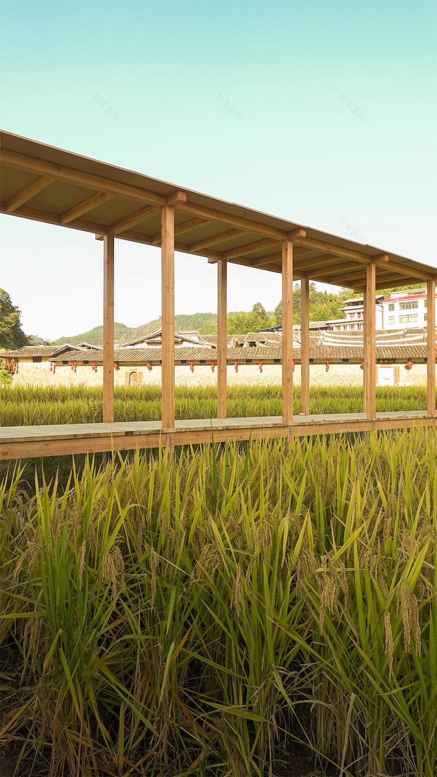 青石寨的稻亭和稻场,福建 / 个个世界+先进建筑实验室-90