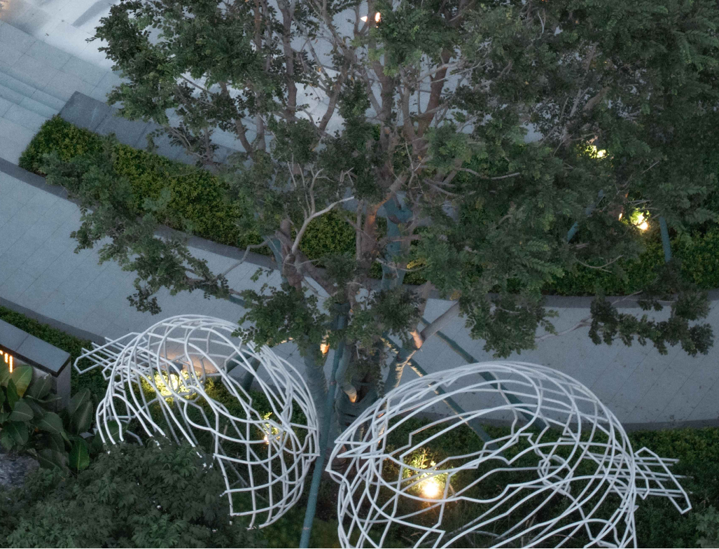 又见，港风 | 中山朗诗 · 金钟湖壹号-48