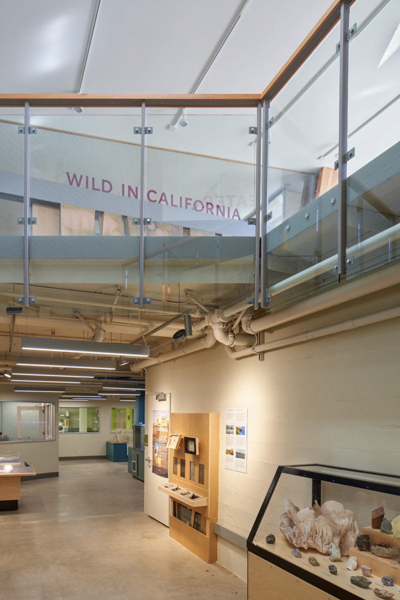 旧金山 Randall 博物馆翻新升级,绿色环保互动体验-18