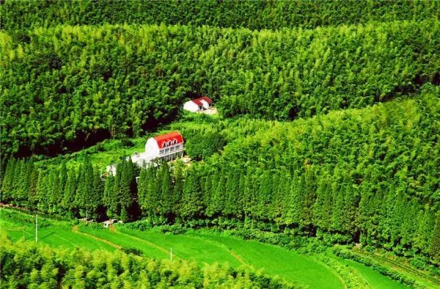 文艺大叔租下8亩林场,花16年种花养草,如今惊艳世人,连美国杂志都给他点赞-34