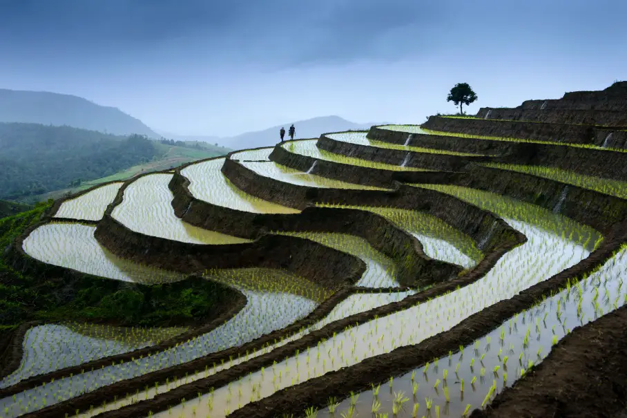 白墙装饰之魂 | 独特图片打造个性空间-6