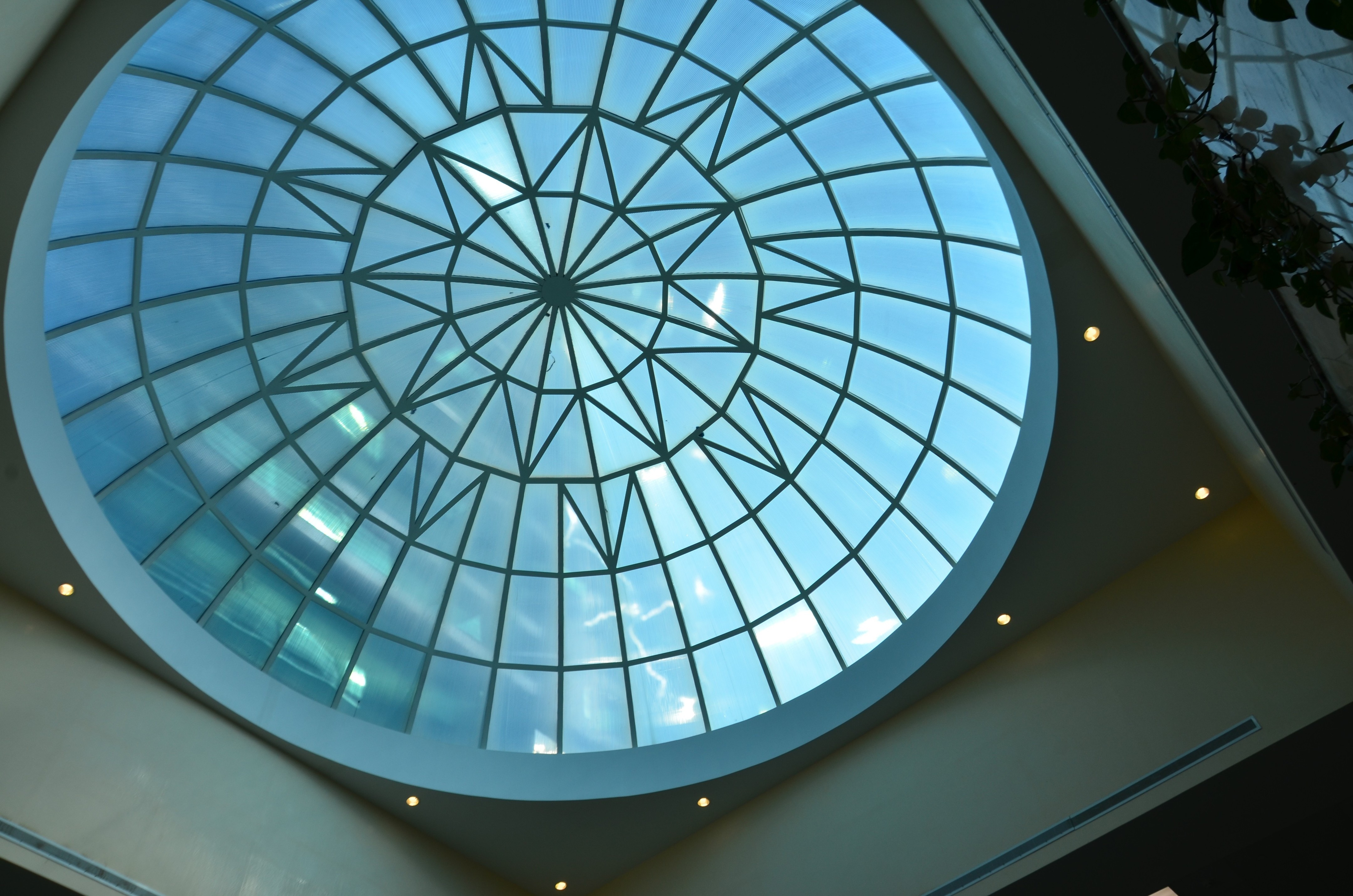 BURAYDAHCENTRALHOSPITAL|ZiadAlHassan-12