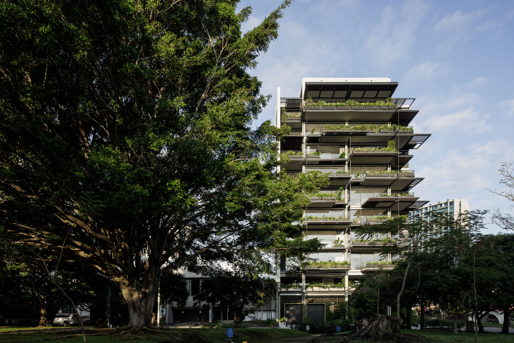 栀子丨哥斯达黎加圣何塞丨Studio Saxe-33