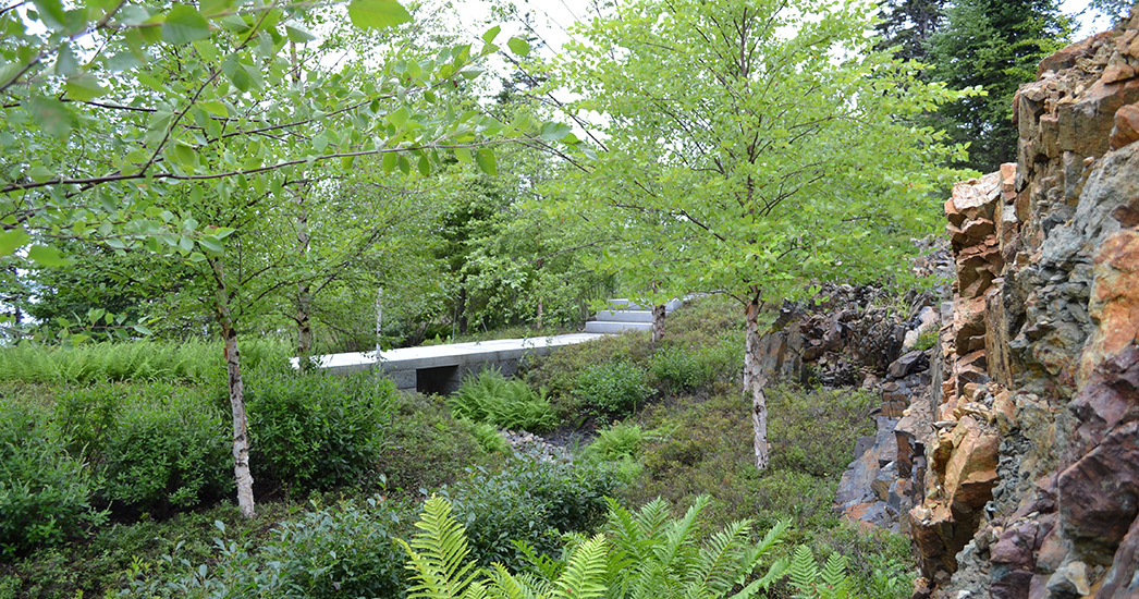 阿卡迪亚庄园-12