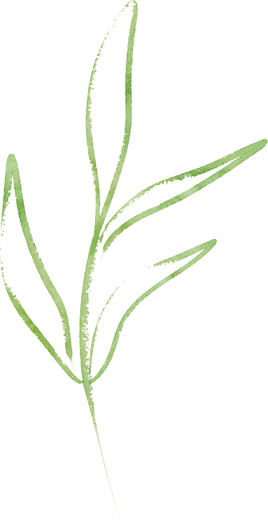 “五一”趣玩｜闲来无事，到荔枝公园喝茶去～-22