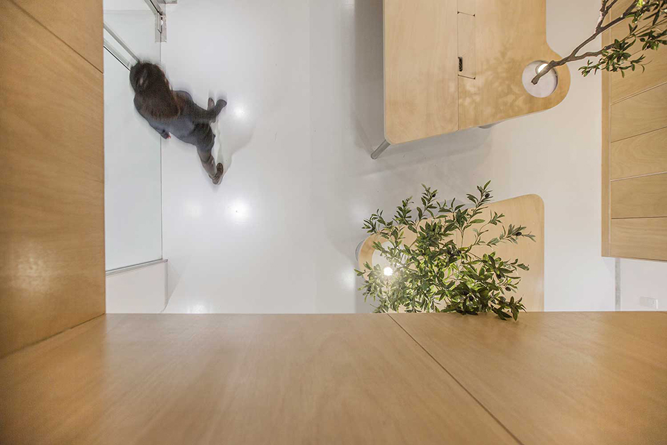 TOWO堂晤设计工作室，上海 / 堂晤设计-43