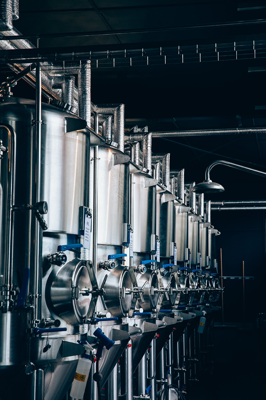 欢迎来到不伦瑞克丨GermanyBrunswick-10