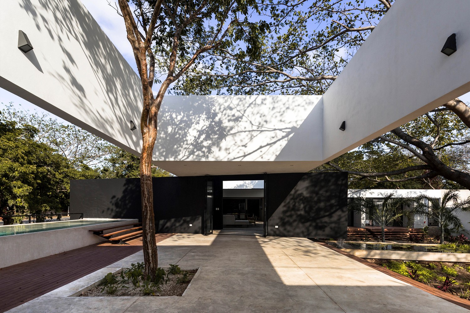 "Pich"树之屋 | 共享绿意,融入城市-5