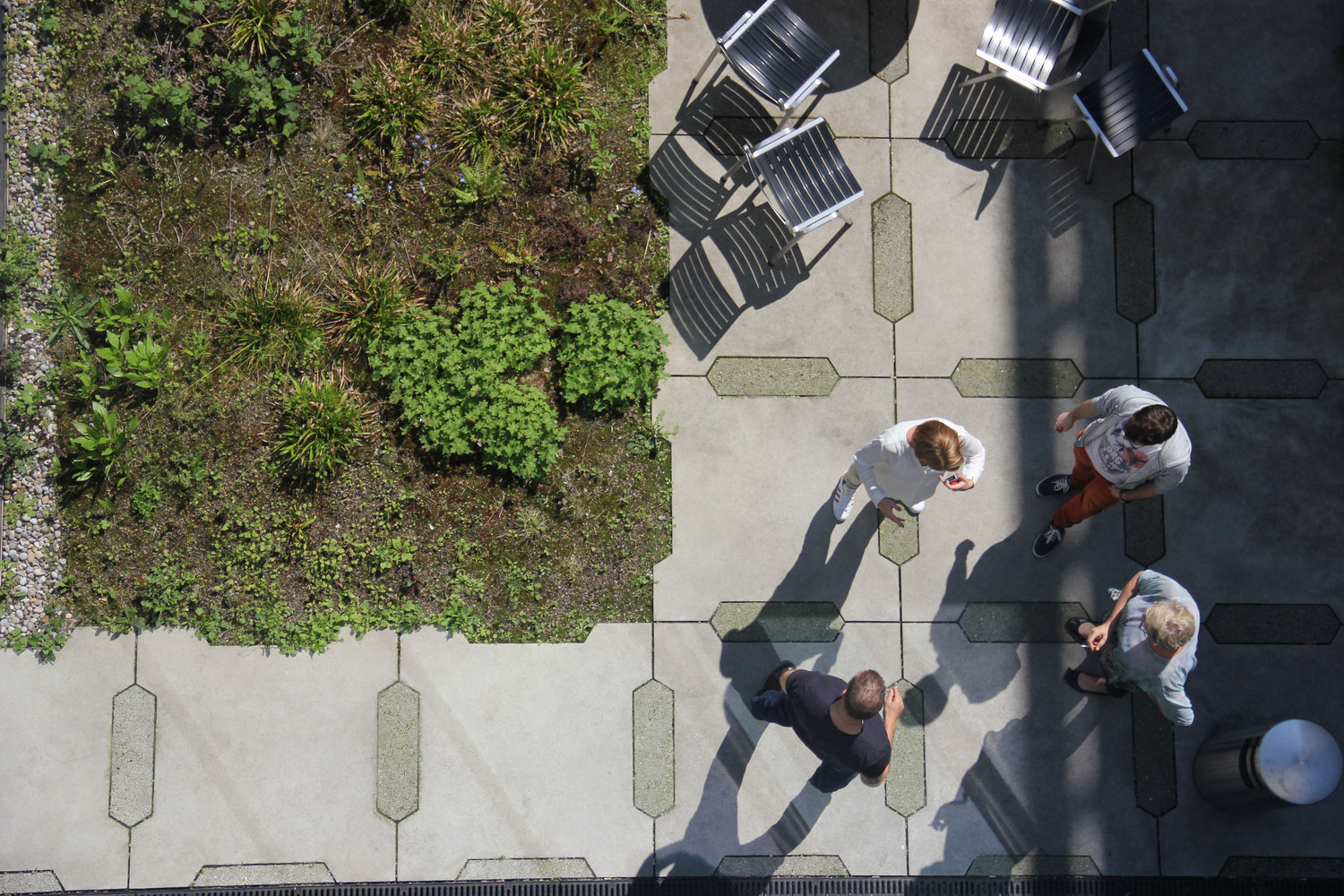 苏黎世艺术大学屋顶花园-29