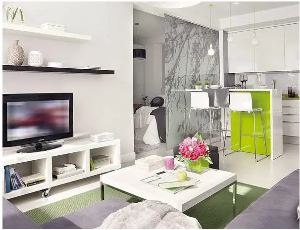 小空间大利用 | 工作室公寓的完美设计-4