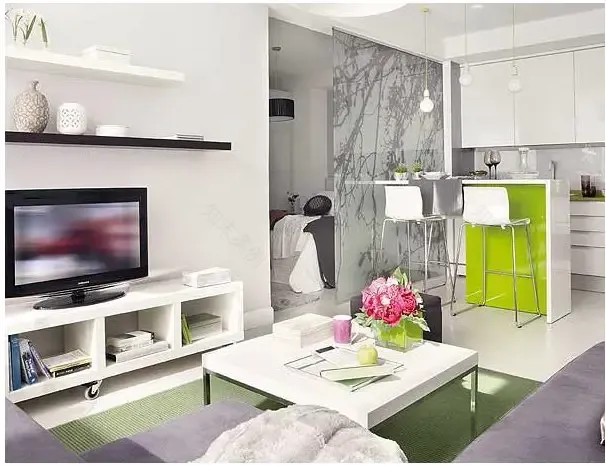 小空间大利用 | 工作室公寓的完美设计-4