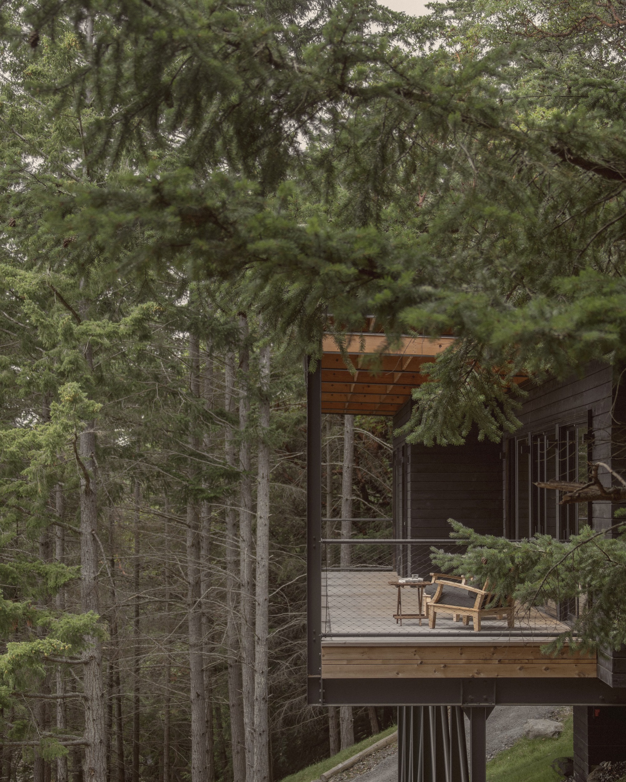 丨美国西雅图丨Miller Hull Partnership-45