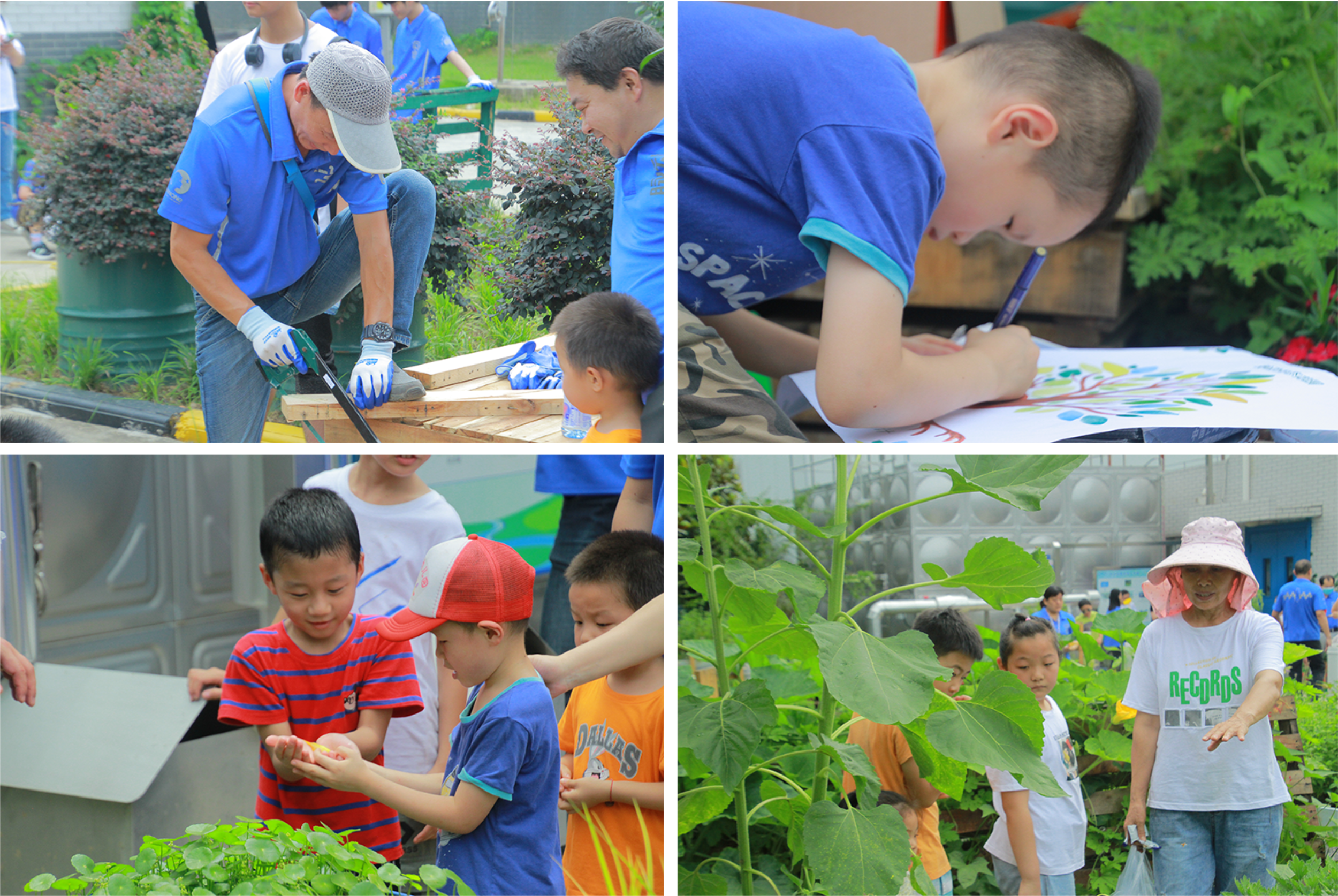 武汉脉动生态花园：一座由工厂废弃物建成的花园丨中国武汉丨盖娅朴门设计-20
