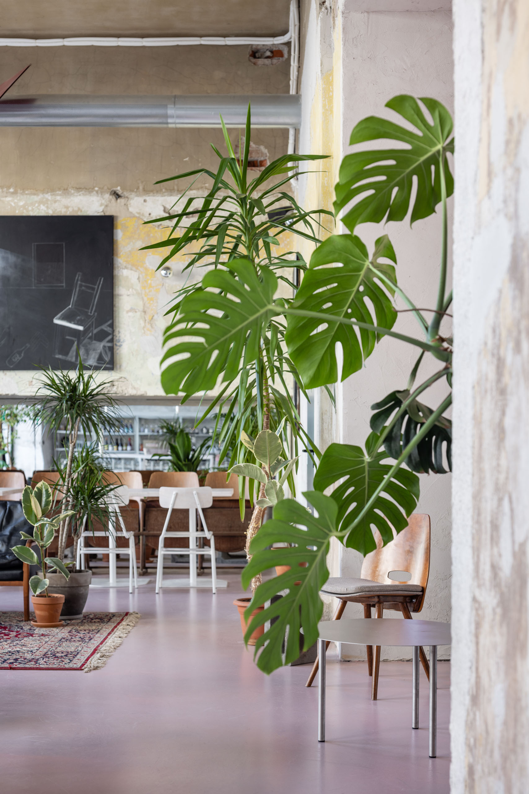 咖啡馆讲解丨Grau Architects-30