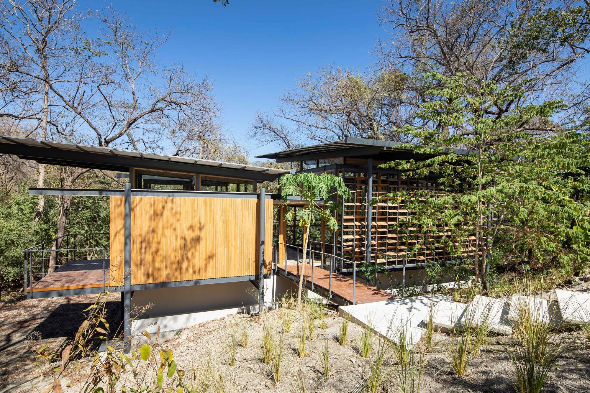 丛林框架房屋-17