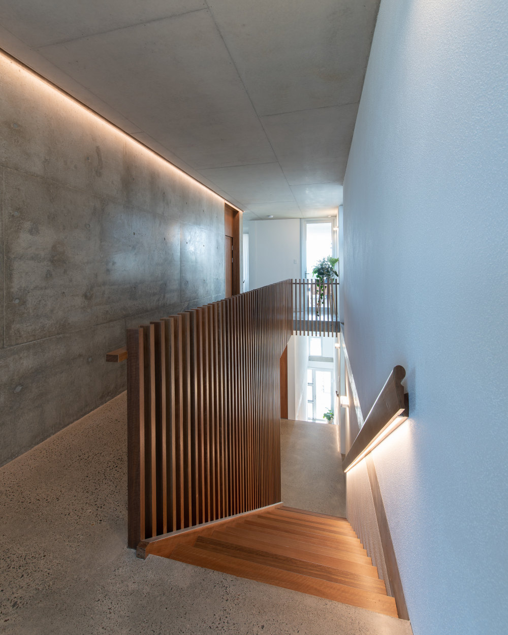 澳大利亚伯恩海滩混凝土住宅-34