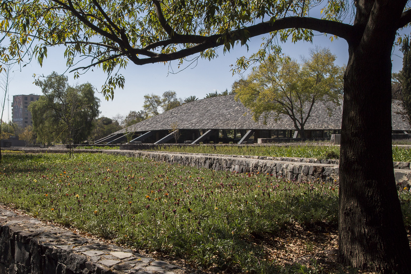 环境文化中心丨墨西哥墨西哥城-37