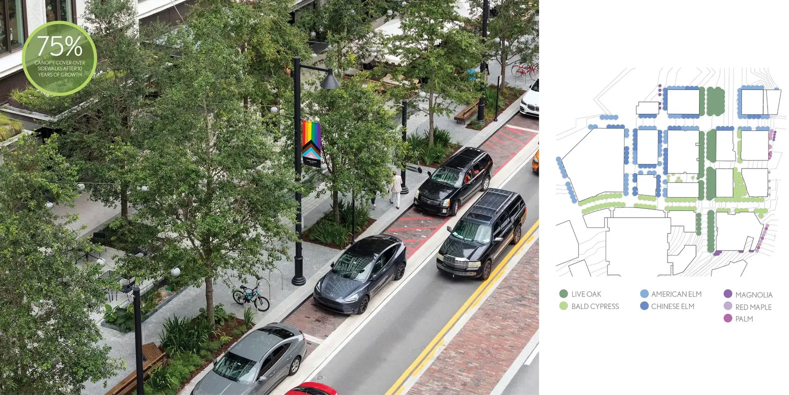 坦帕水街的连绵树冠丨美国丨Reed Hilderbrand-27