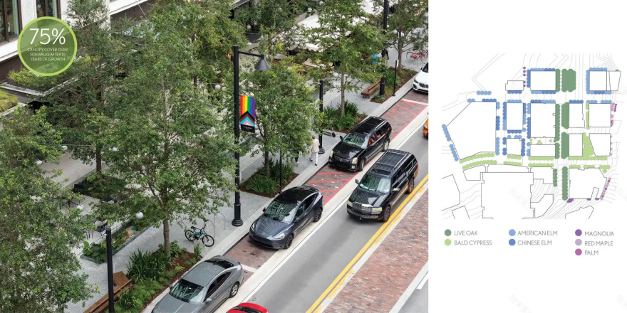 坦帕水街的连绵树冠丨美国丨Reed Hilderbrand-27