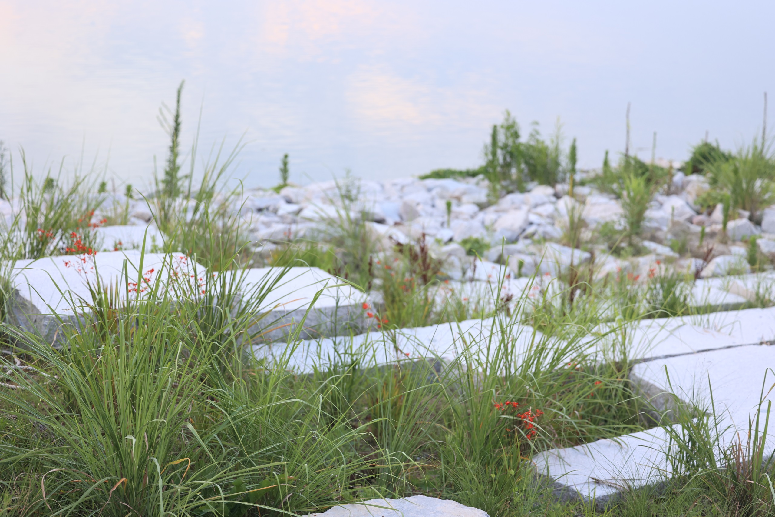 凤翔洲水文化公园丨中国衢州丨张唐景观-49