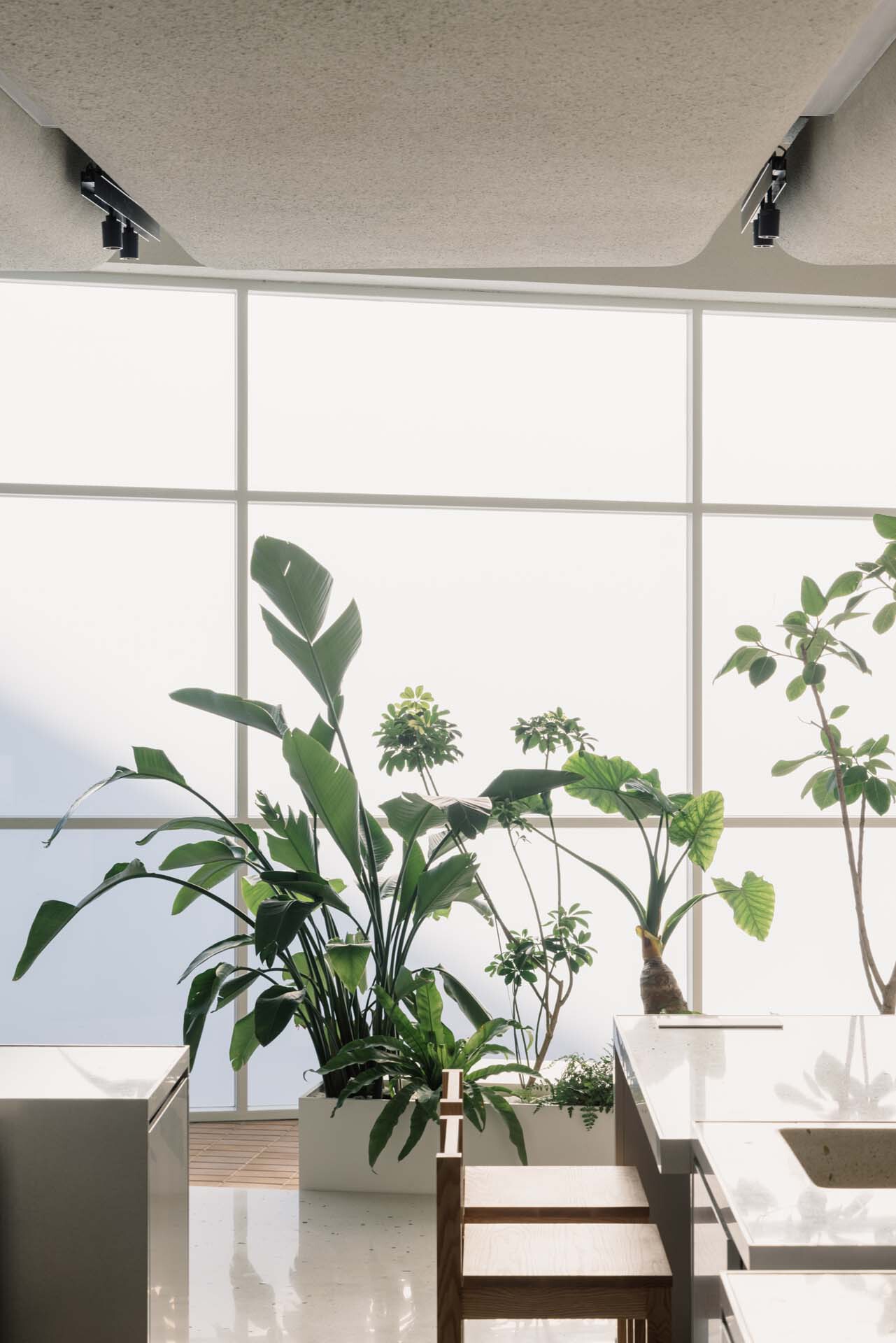 鱼缸咖啡馆，办公一体机丨中国南京-20