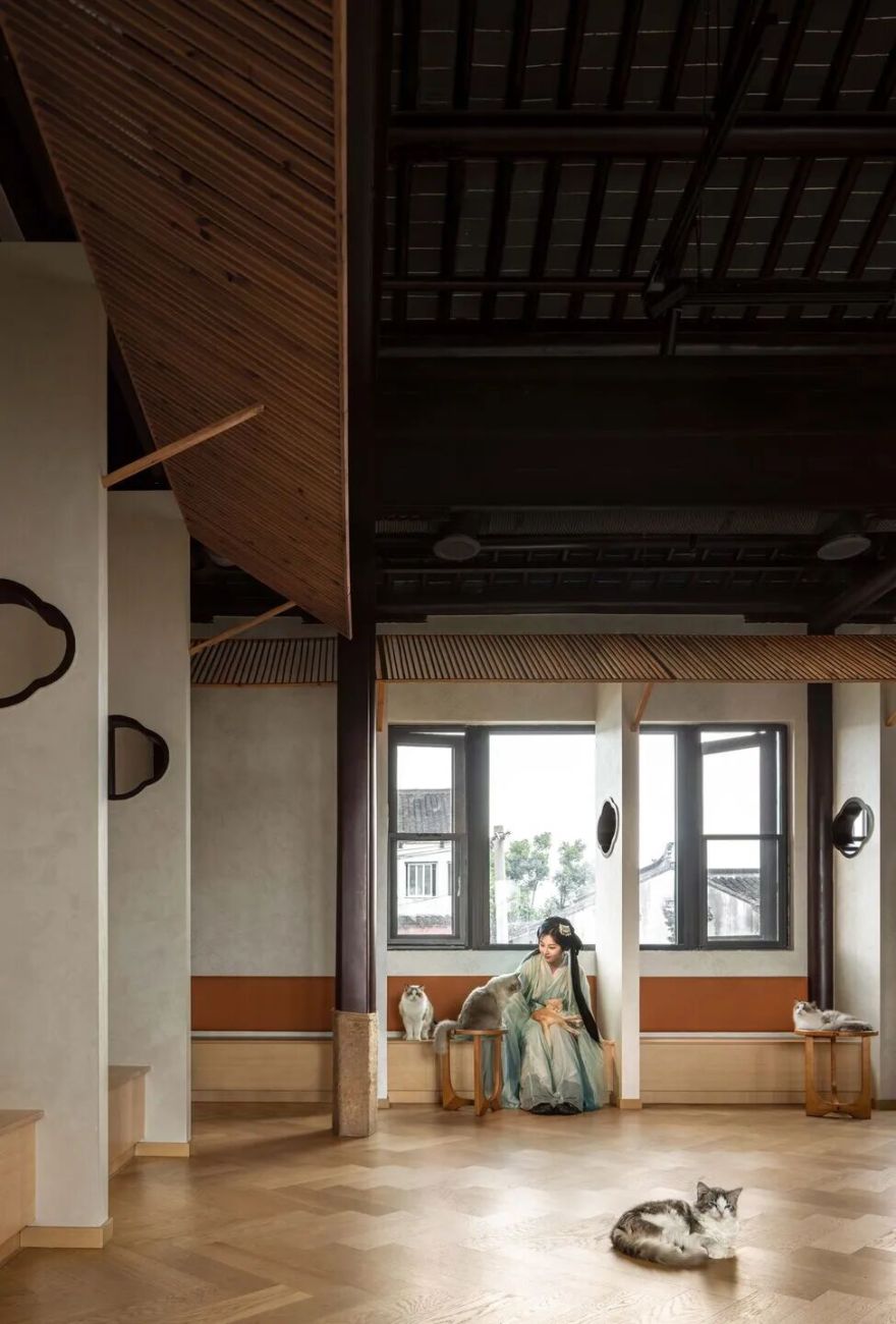 Tata Party猫咖丨中国苏州丨Parallect Design-16