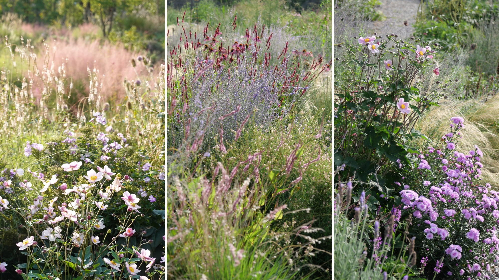 大理山下花园丨中国大理丨上海叙野景观设计有限公司-33