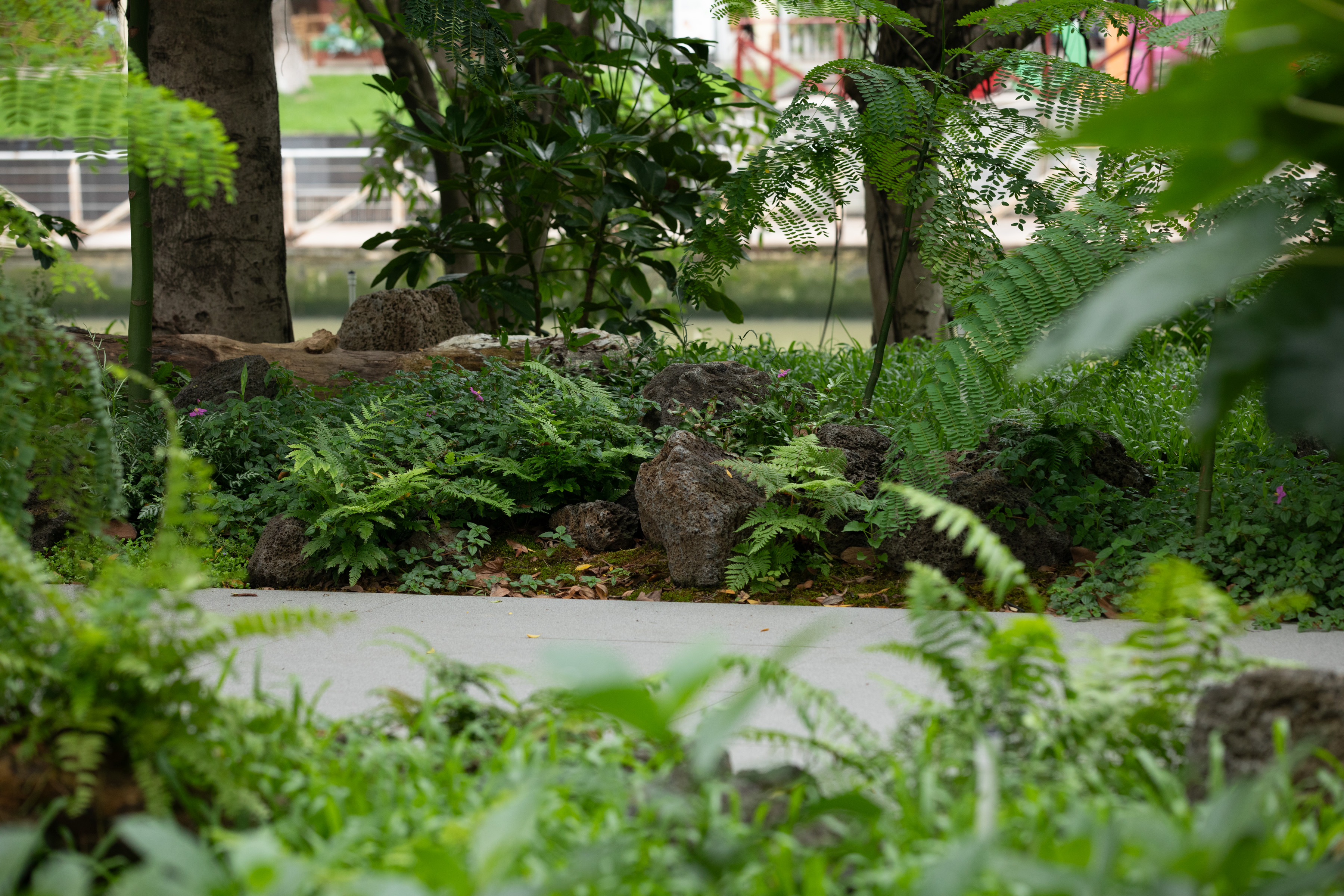 广州亚运公园丨中国运城丨广亩景观-8