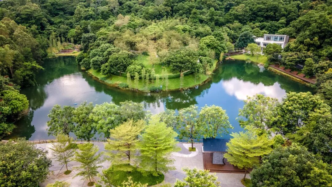 大运智慧公园之湖间|湖上一回首，青山卷白云-10