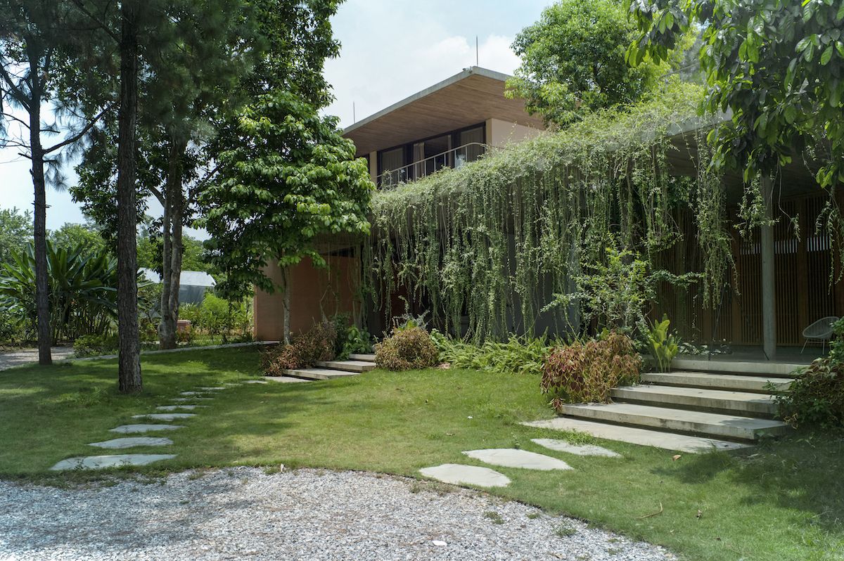 Ba Vì森林中的开放互动生活空间-61