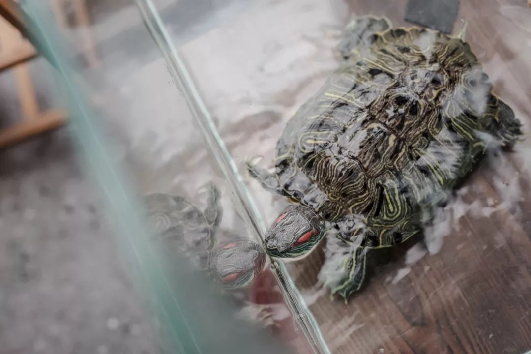 把喜欢的都打包，洒进爱意满满的超大小屋，84㎡空间增容记-75