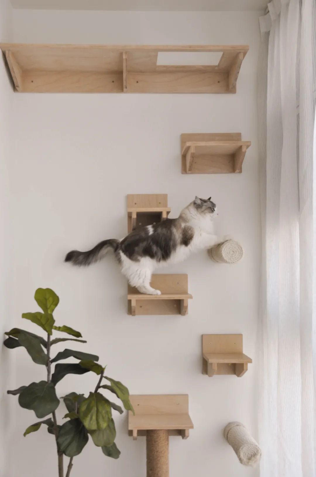 旧屋爆改 · 成都 60㎡小户型设计丨中国成都丨@iflife-71