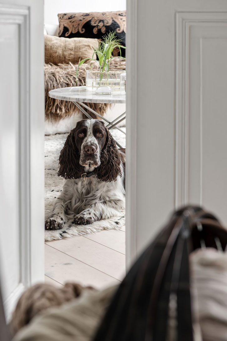 瑞典复古风室内设计-14