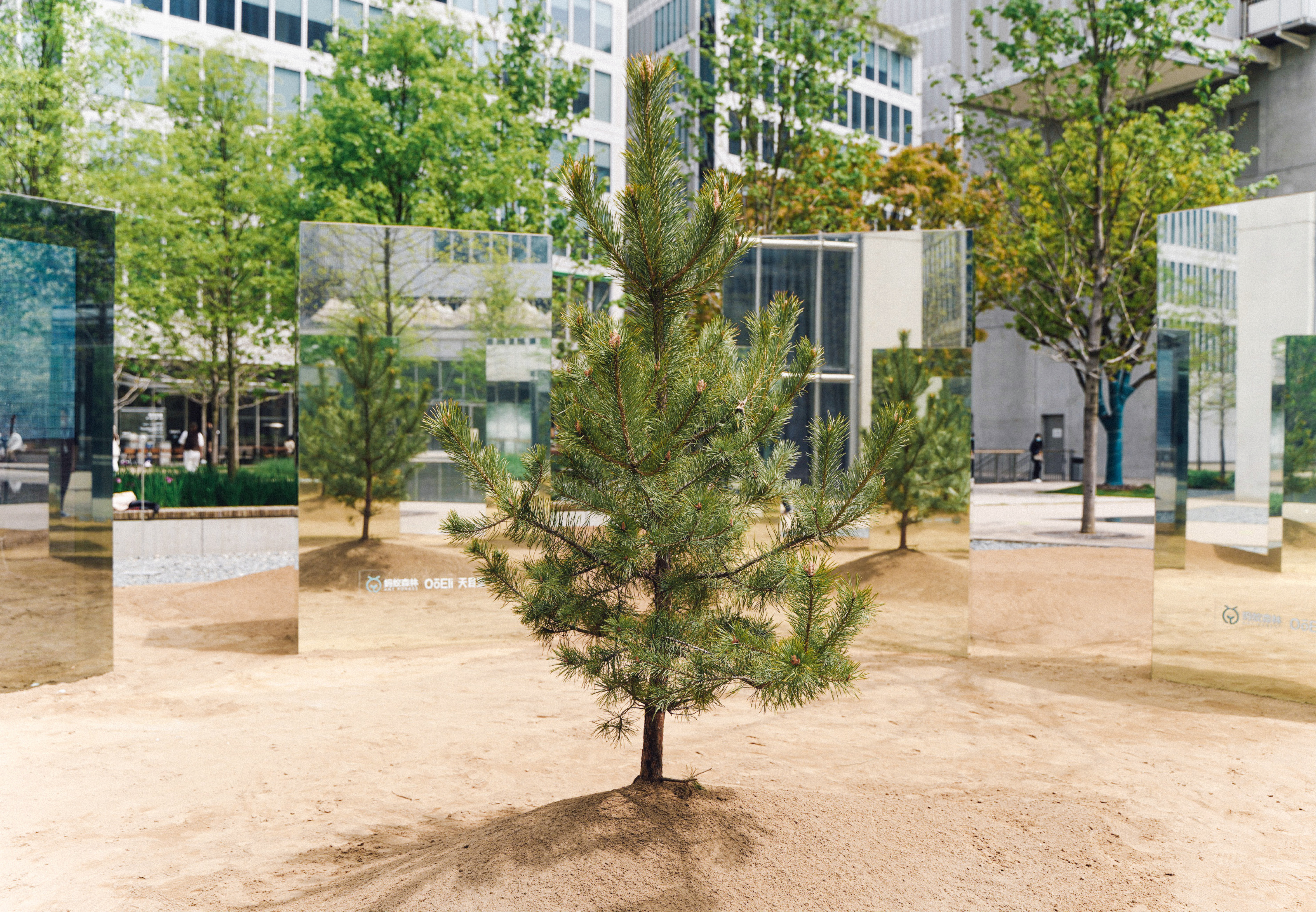 杭州天目里绿色嘉年华「森林里」丨中国杭州丨蚂蚁森林,杭州天目里,不是美术馆-20