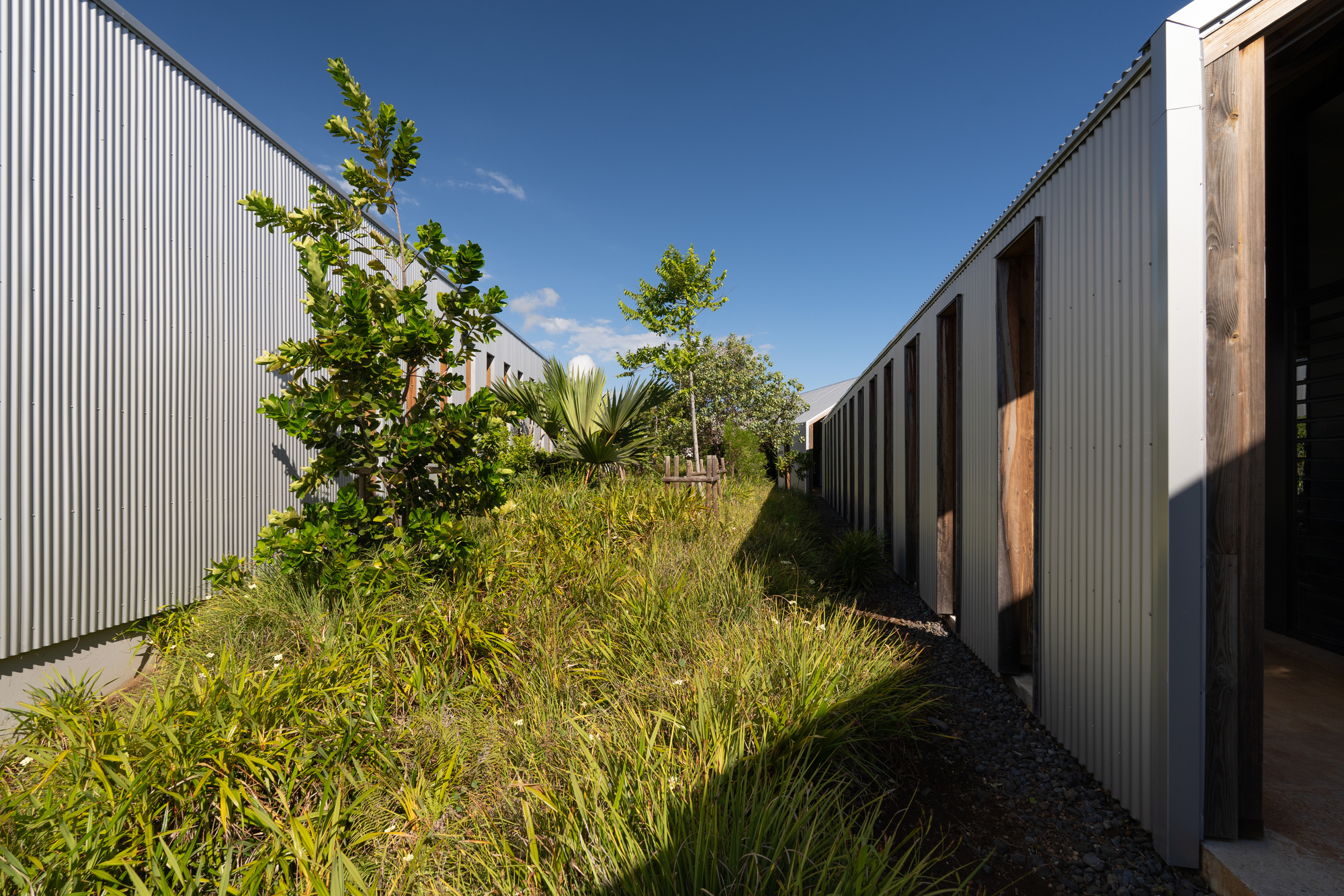 Health Sciences Faculty – University of La Réunion  / TT Architecture-50