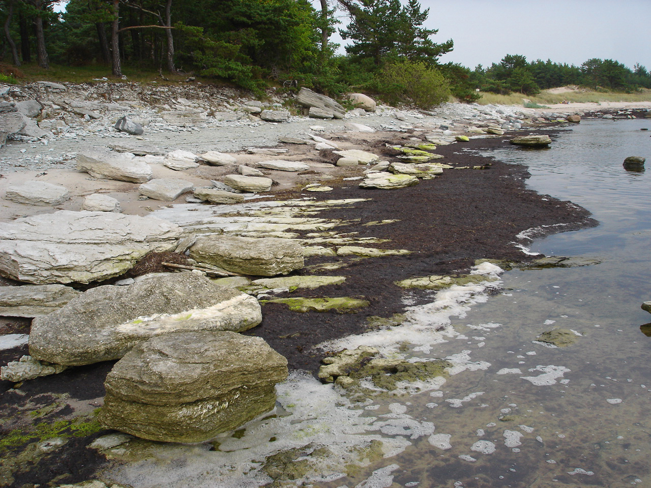 Gotland 岛上的原木风建筑——M.Arkitektur 设计-3