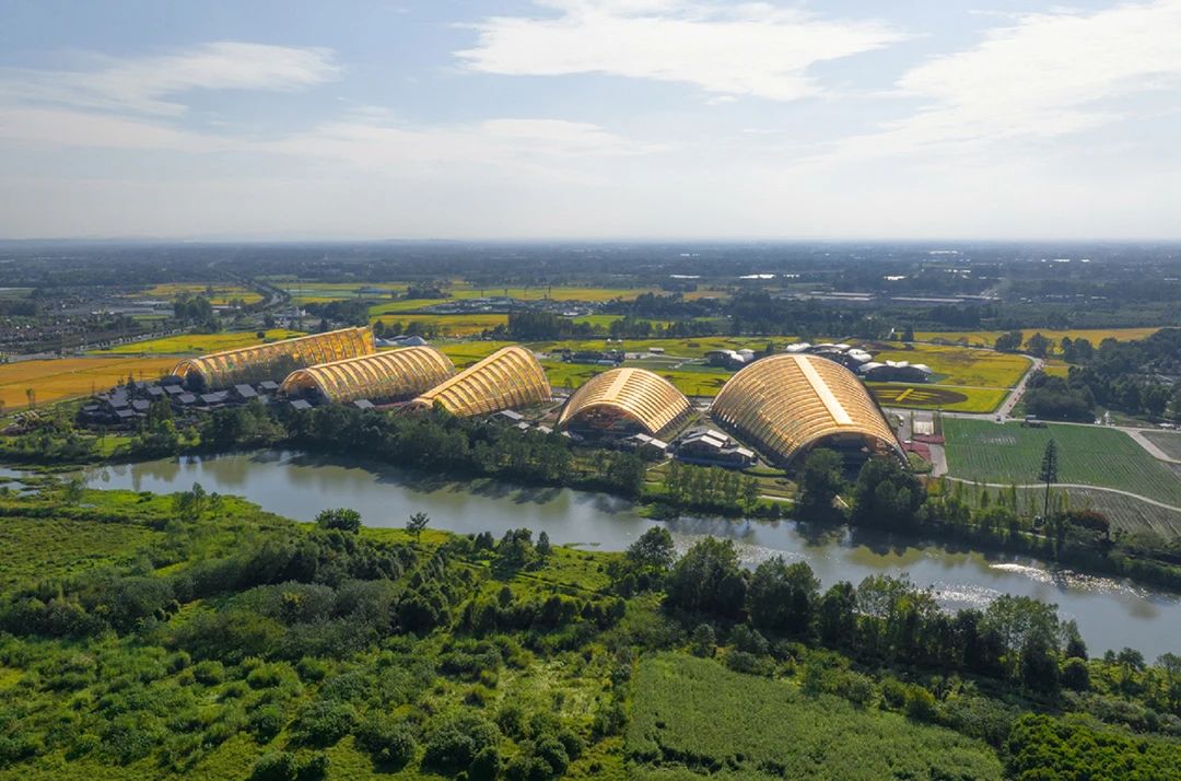 天府农博酒店丨中国成都丨YANG设计集团-1