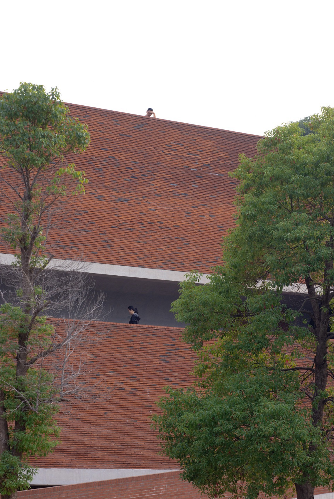 益阳三周文化广场丨中国益阳丨地方工作室-207