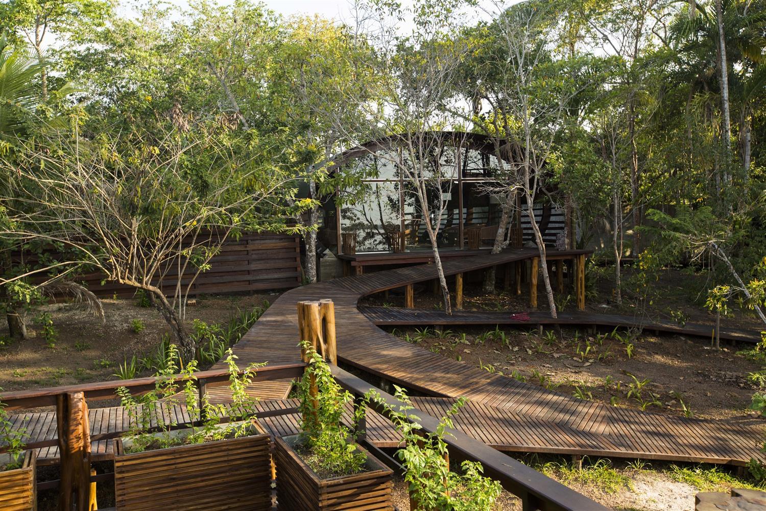 亚马逊鸟瞰酒店-6