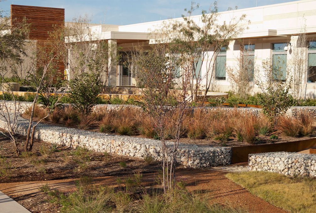 数据牧场丨美国奥斯汀-3