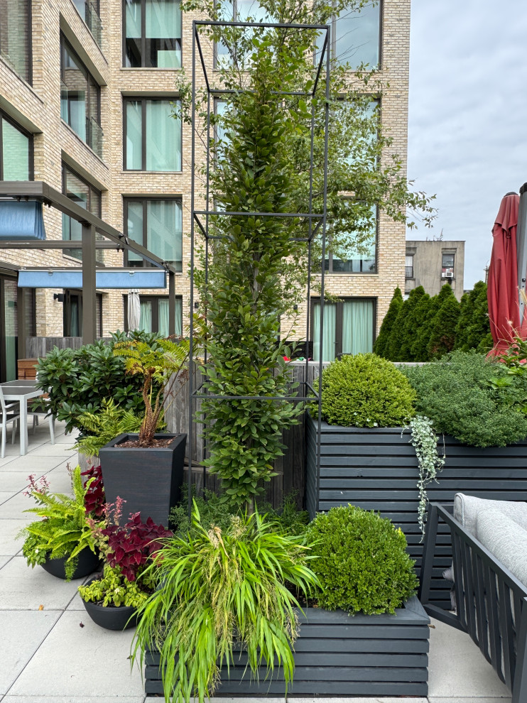 Carroll Gardens Rooftop Terrace-20