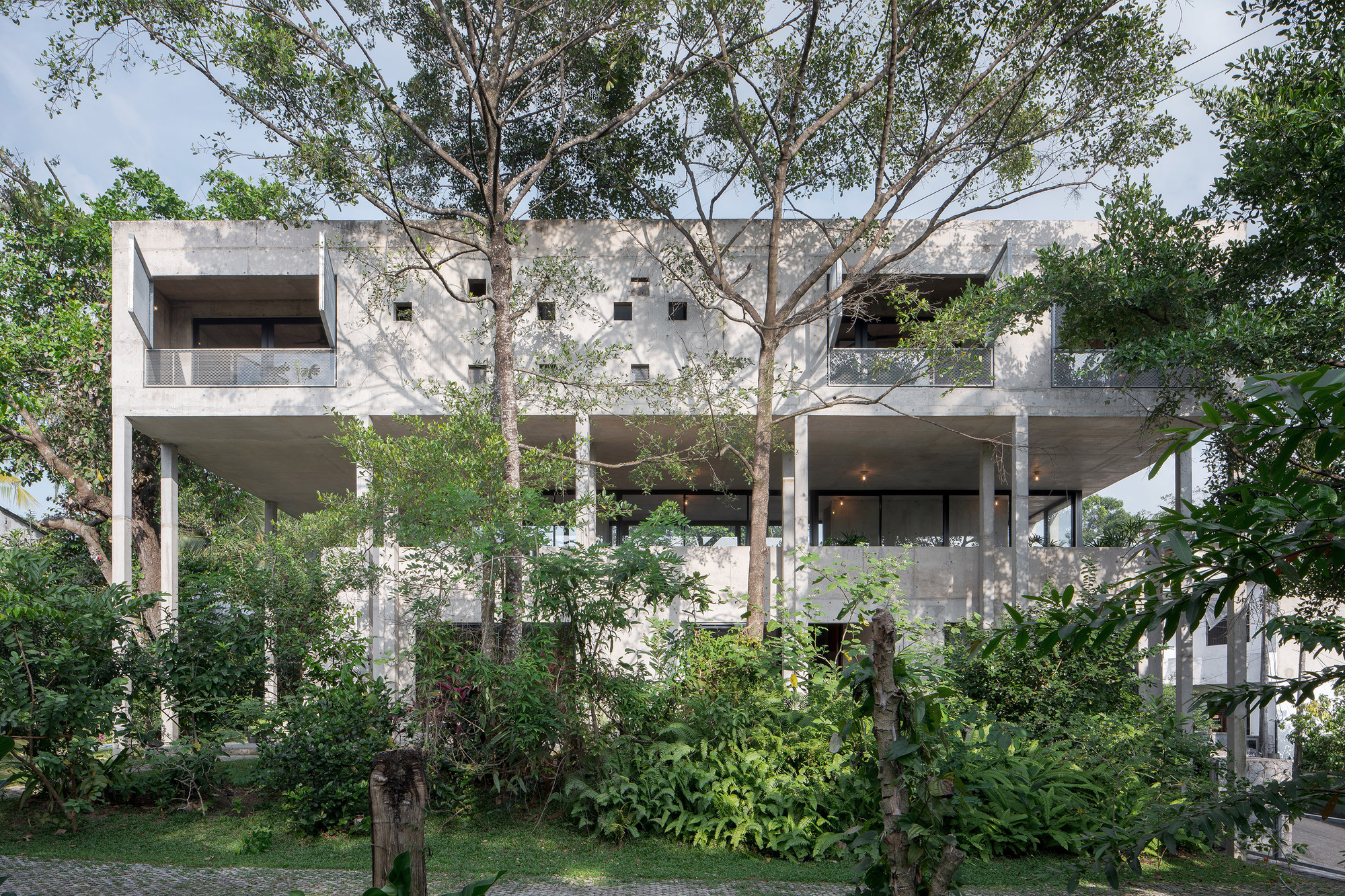 大树小植物屋丨Read Studio-12