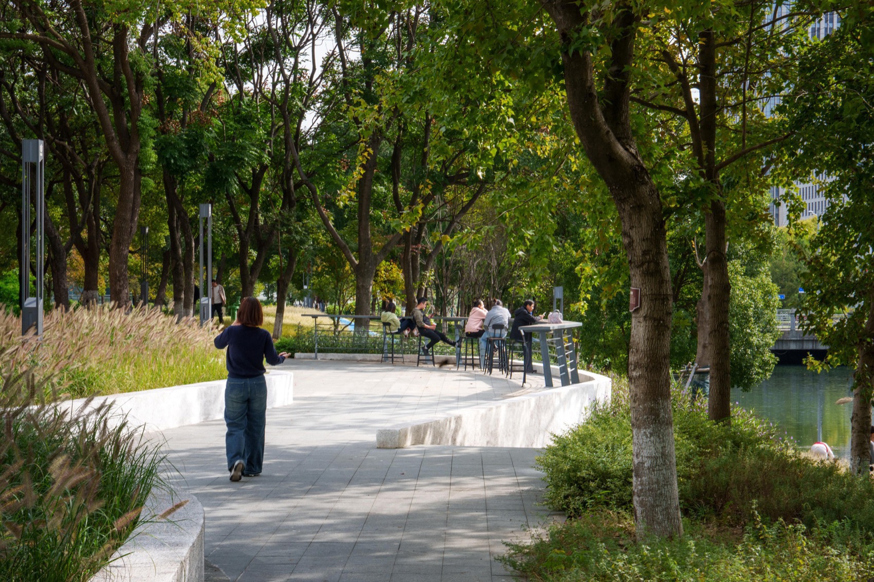 无锡菱湖大道沿线景观提升丨中国无锡丨MYP迈柏-115