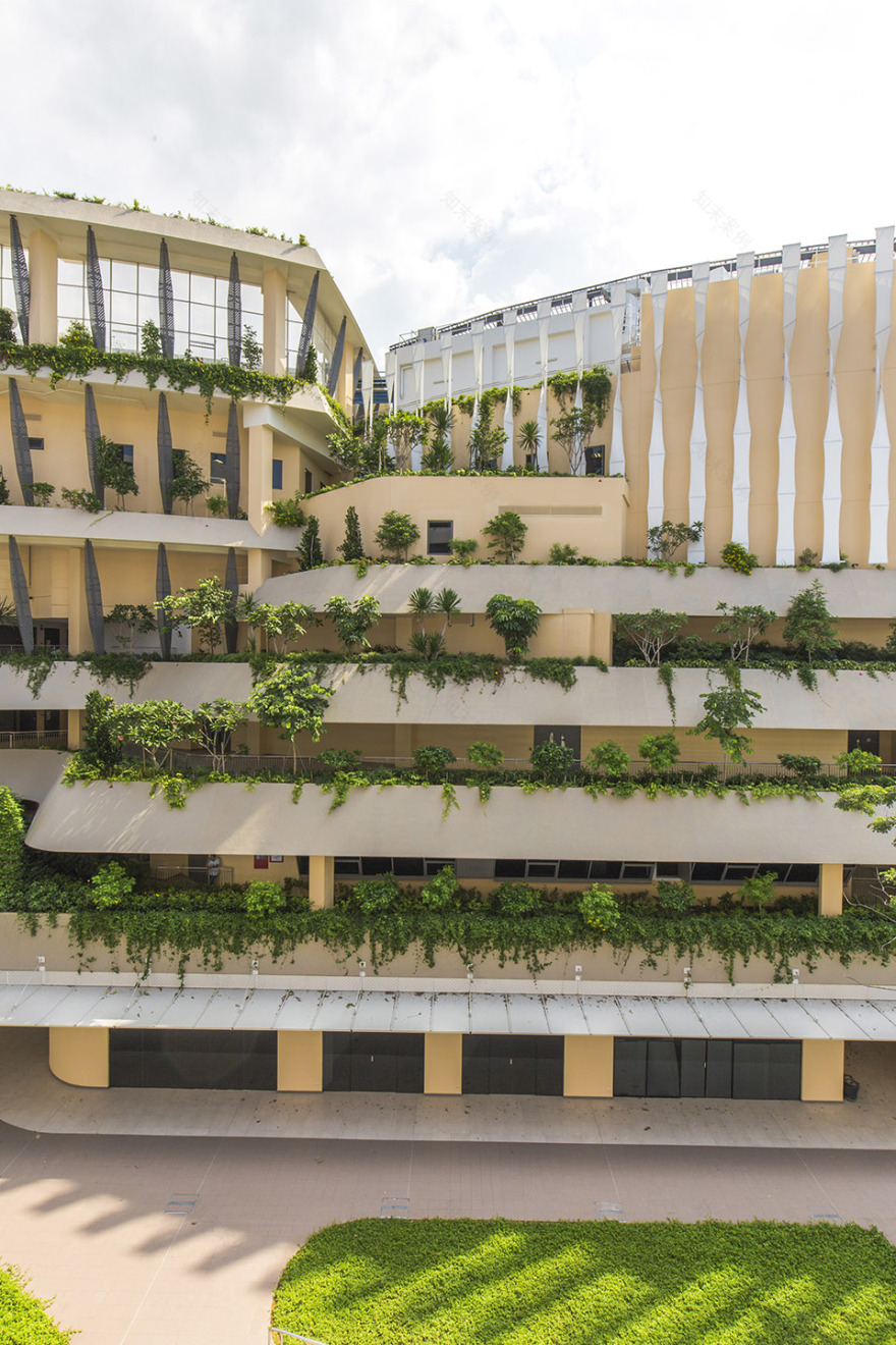 Heartbeat@Bedok大楼,新加坡 / ONG&ONG Pte Ltd-63