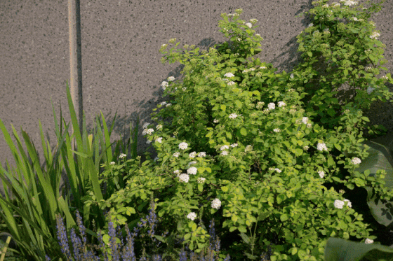 层叠的野性丨武汉瑞安城市展厅-42