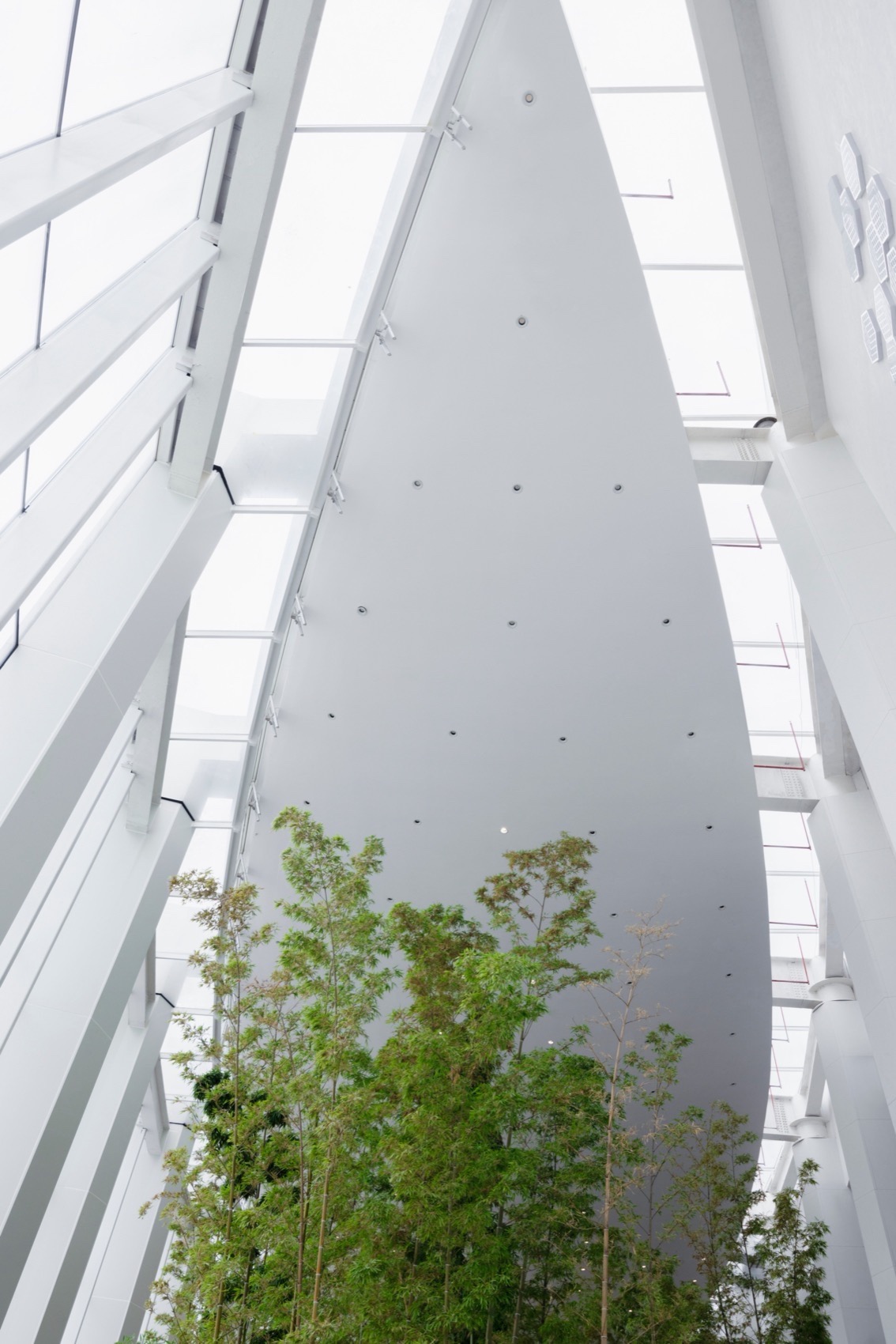 图书馆建筑 / 武汉东西湖文化中心丨中国武汉丨中国建筑设计研究院-47