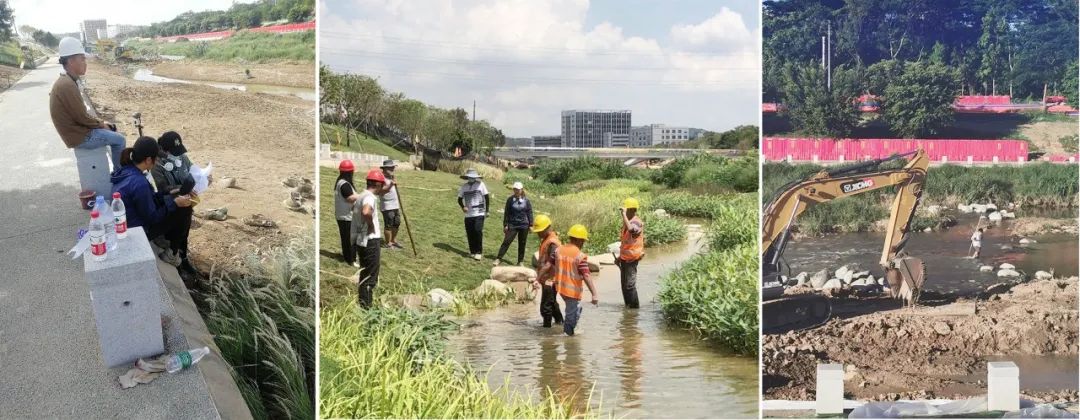 茅洲河碧道·光明段生态修复试点-116