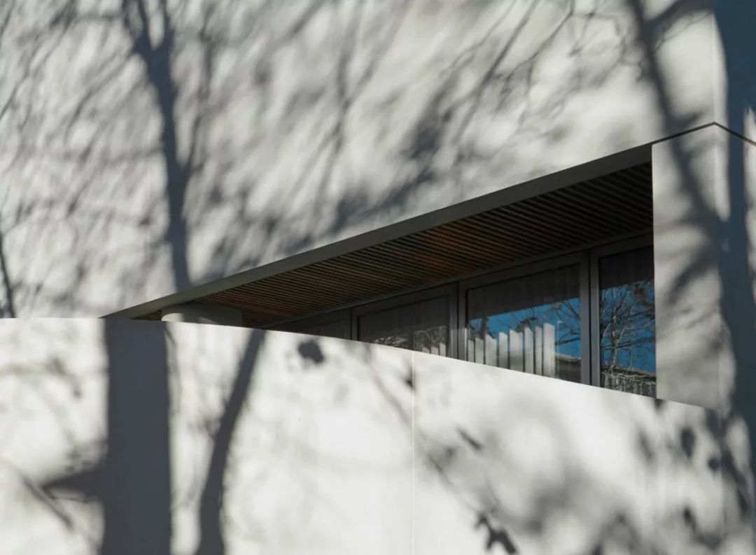 Davidov Architects | 住宅与公共概念的融合-31